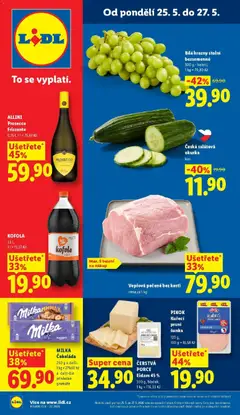 Náhled nabídky: Lidl Lidl aktuální leták platný od 25.05.2026