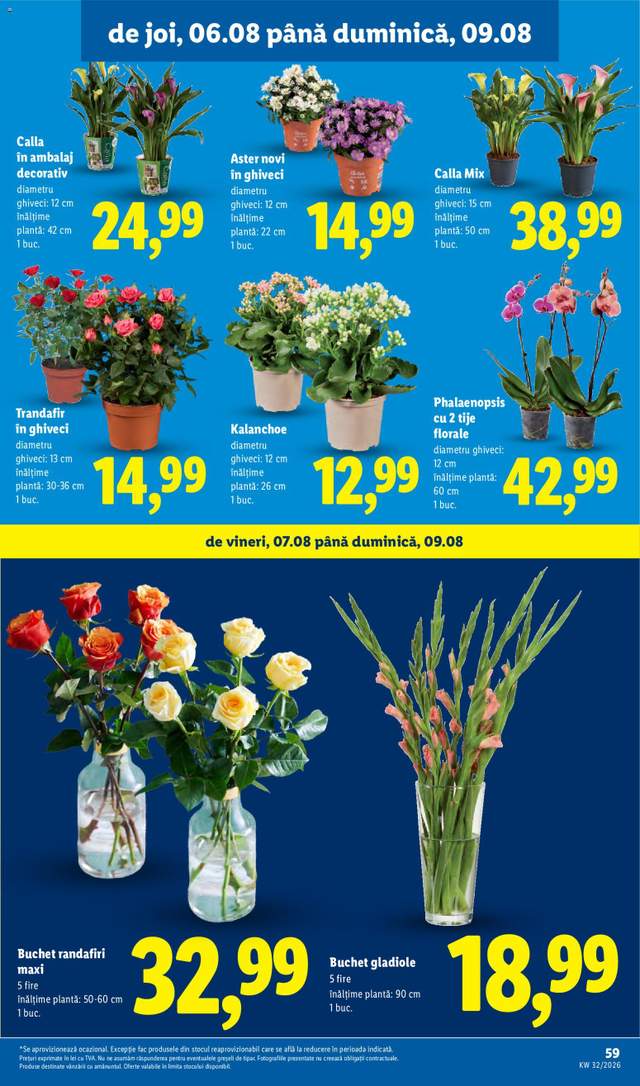 Noul catalog Lidl de la 03.08.