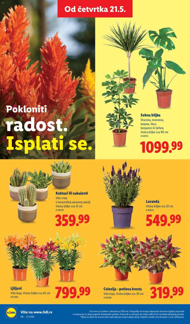 Novi Lidl katalog od 21.05.
