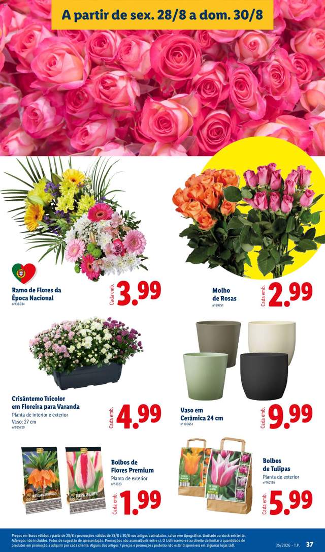 Novo folheto Lidl a partir de 24/08