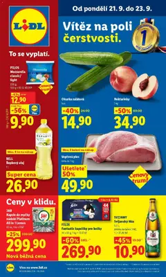 Náhled nabídky: Lidl Lidl aktuální leták platný od 21.09.2026