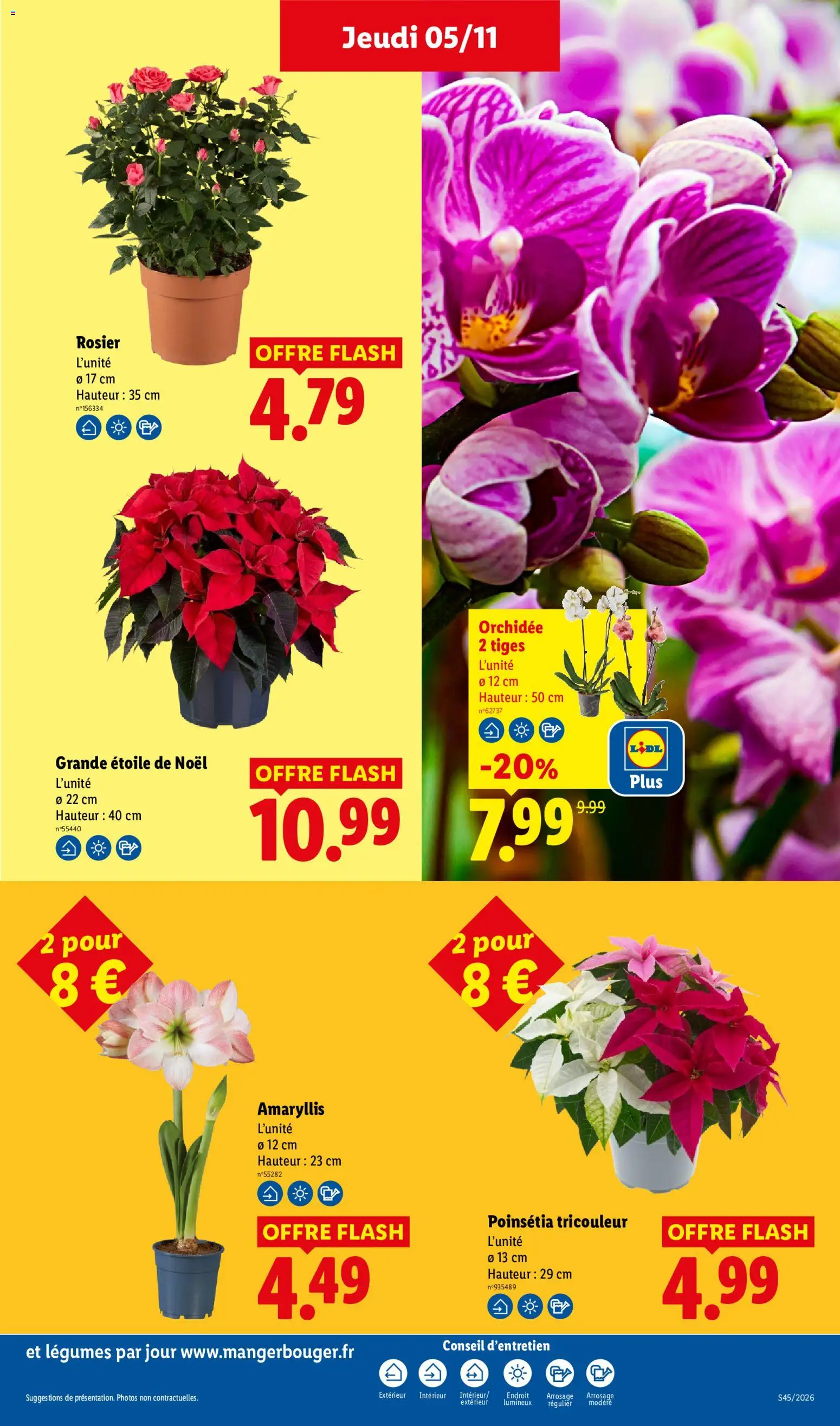 Prévisualisation de LIDL catalogue du magasin LIDL formulaire valide 05/11/2026