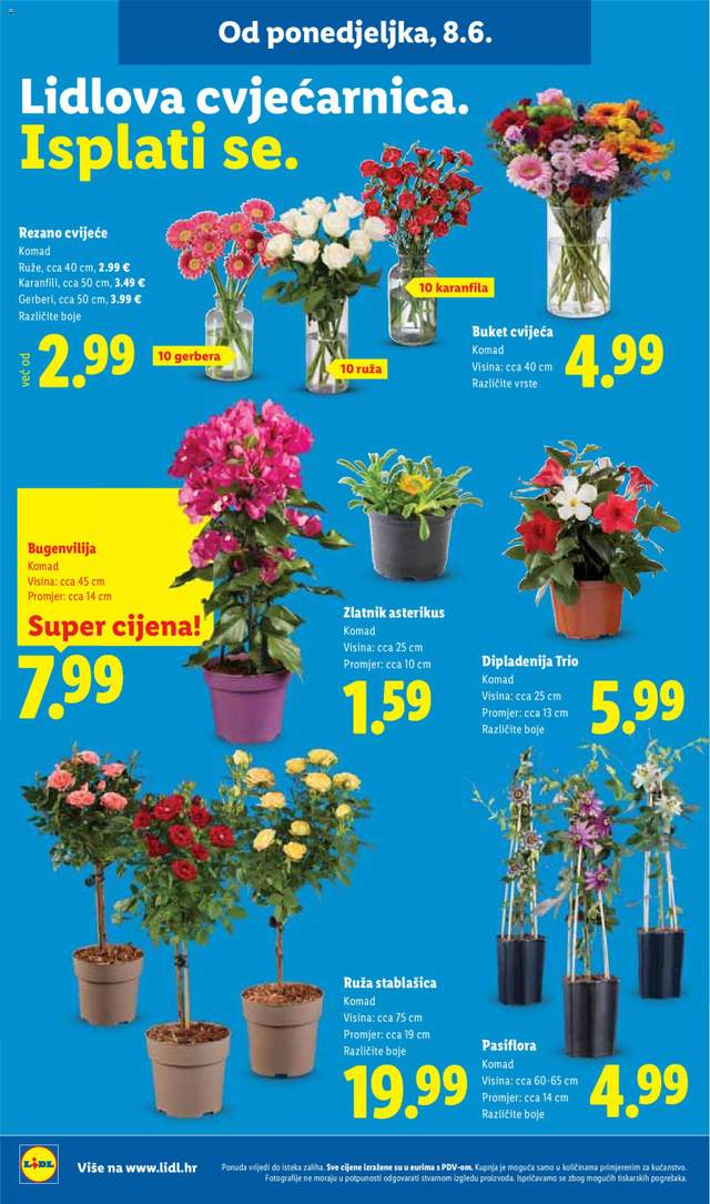 Novi Lidl katalog od 08.06.