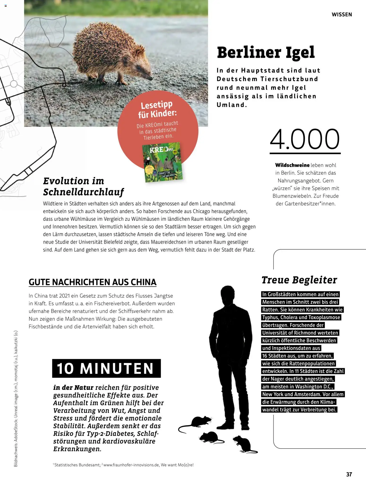 Vorschau von dem Prospekt des Geschäftes BioMarkt, gültig ab dem 17.07.2026 - Berliner
