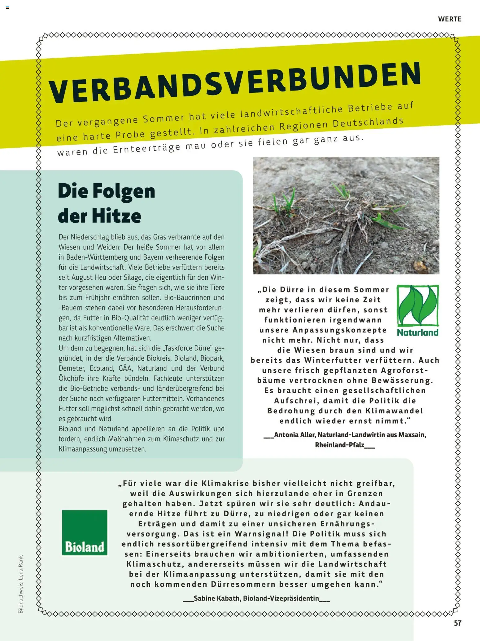 Vorschau von dem Prospekt des Geschäftes Denns BioMarkt, gültig ab dem 26.10.2026