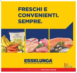 Anteprima dell'opuscolo Esselunga S volantino Freschi Roma dal negozio Esselunga S valido da 01/07/2026