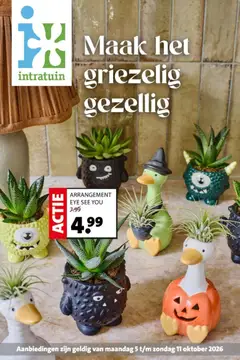 Voorbeeld van Intratuin - Herfst Sale van winkel Intratuin geldig vanaf 05-10-2026