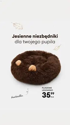 Pogląd gazetki "Sinsay gazetka" ze sklepu Sinsay ważnej od 13.10.2026