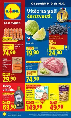 Náhled nabídky: Lidl Lidl aktuální leták platný od 14.09.2026