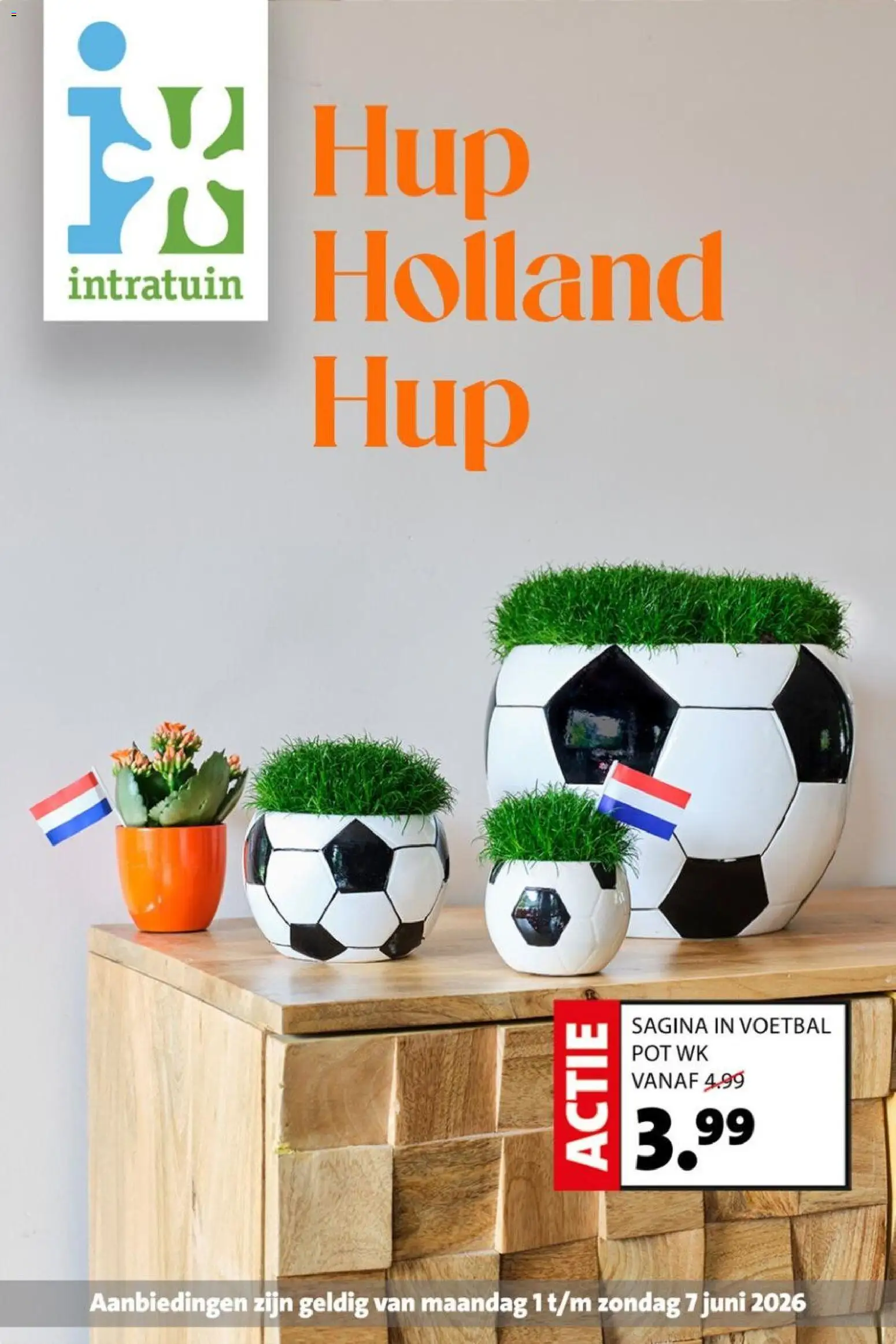 Voorbeeld van Intratuin folder van winkel Intratuin geldig vanaf 01-06-2026