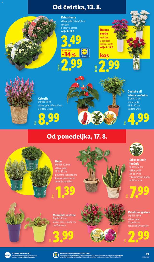 Novi Lidl katalog od 13.08.