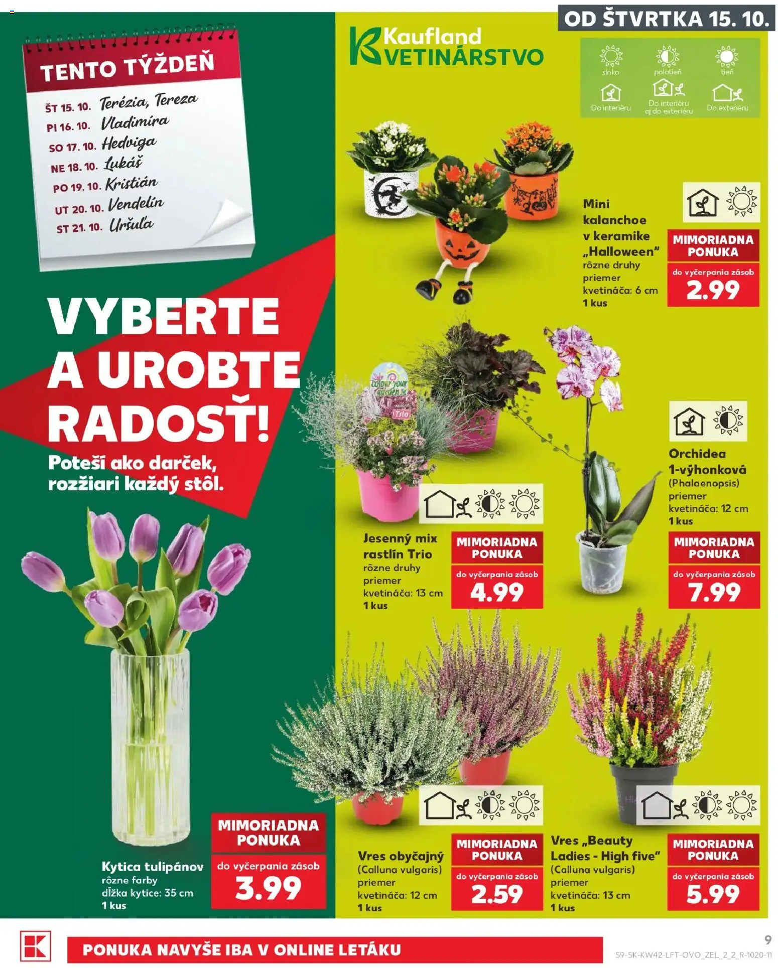 Náhľad Kaufland letáku platného od 15.10.2026 - Orchidea