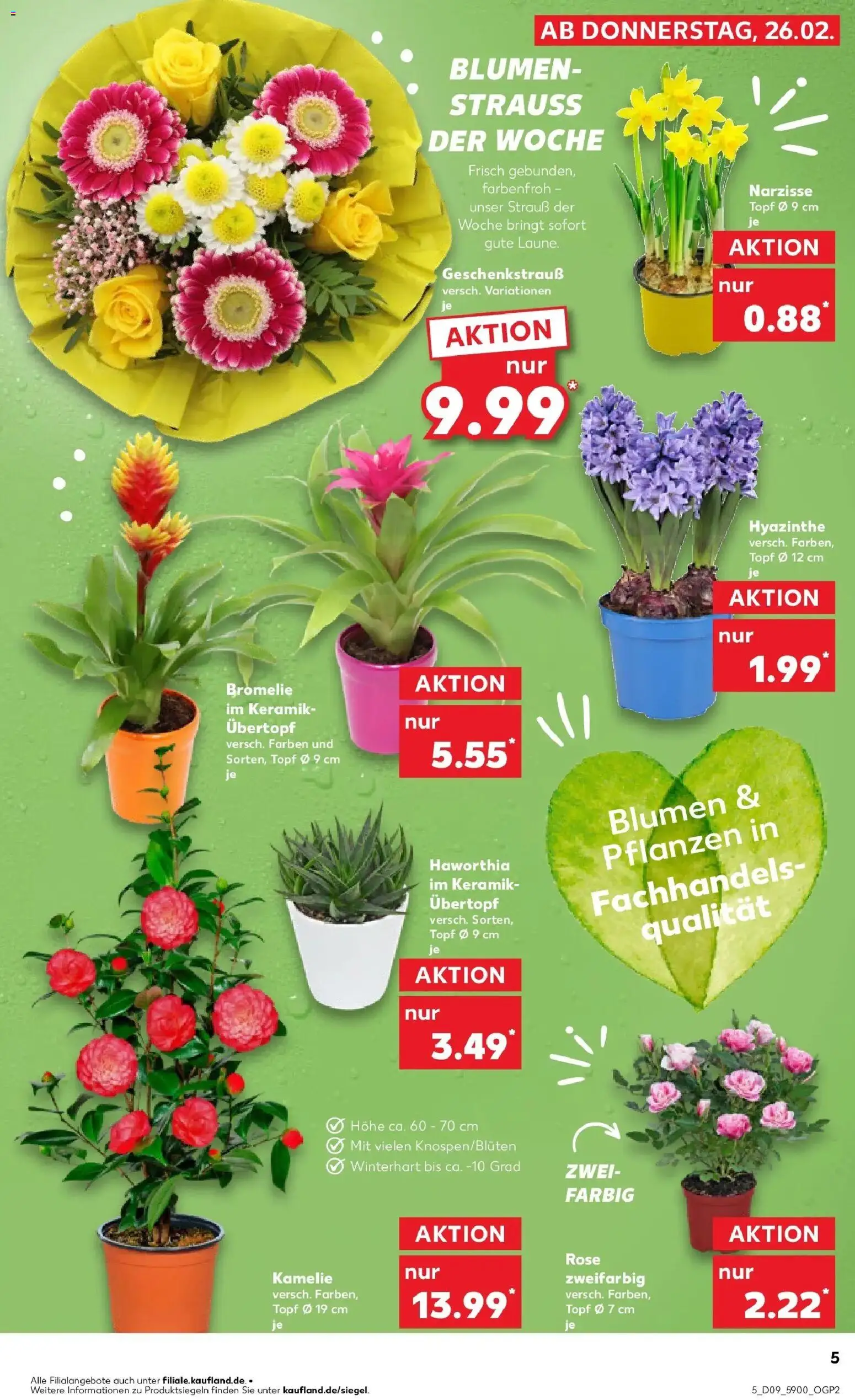 Vorschau von dem Prospekt des Geschäftes Kaufland, gültig ab dem 26.02.2026 - Blumen