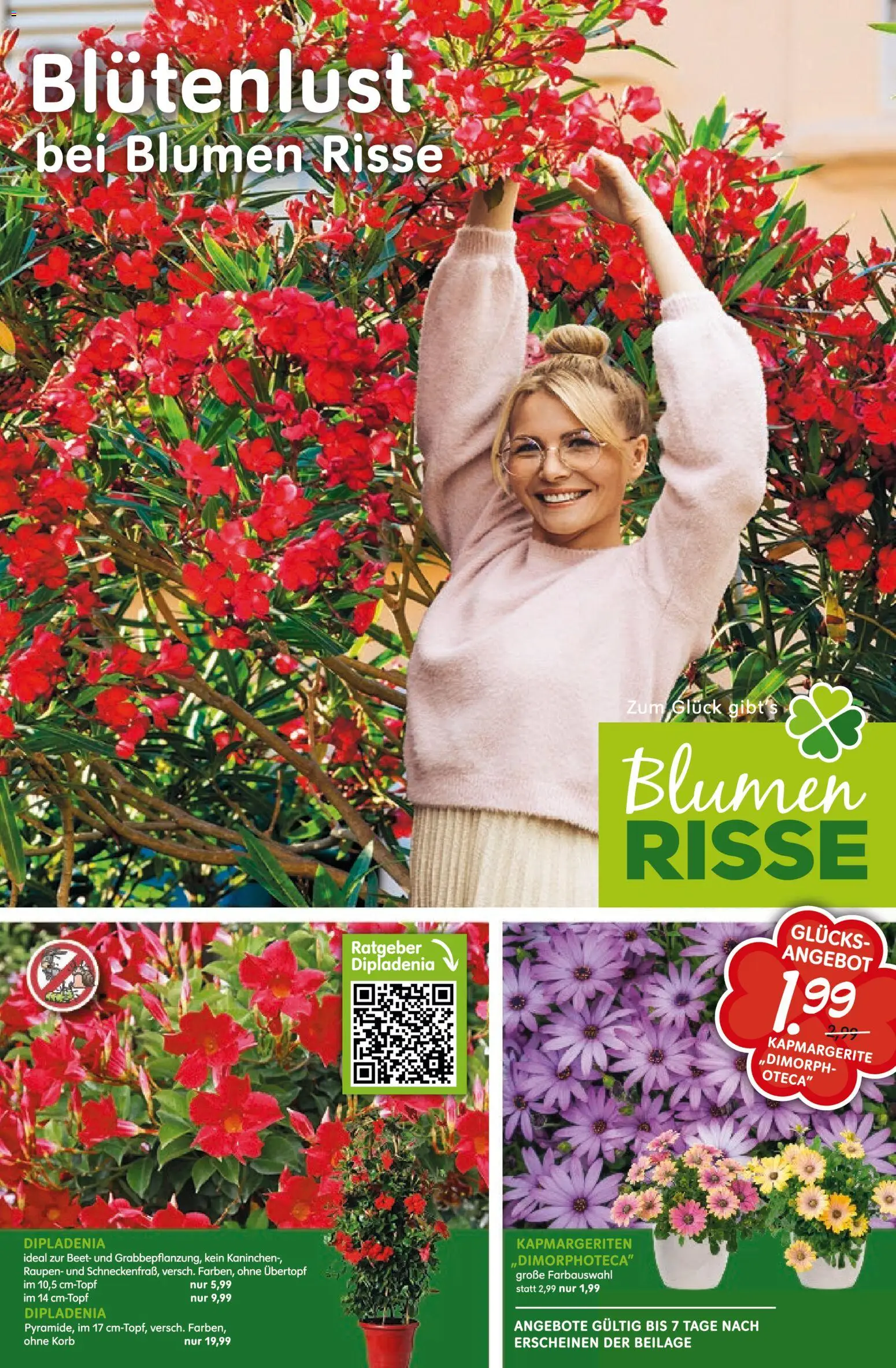 Vorschau von dem Prospekt des Geschäftes Blumen Risse, gültig ab dem 28.05.2026