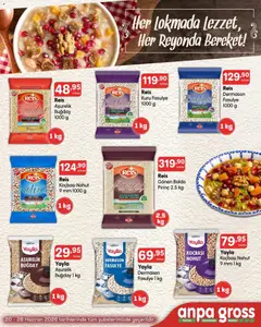 Anpa Gross Anpa Gross Katalog 20.06.2026 - Broşürünün önizlemesi