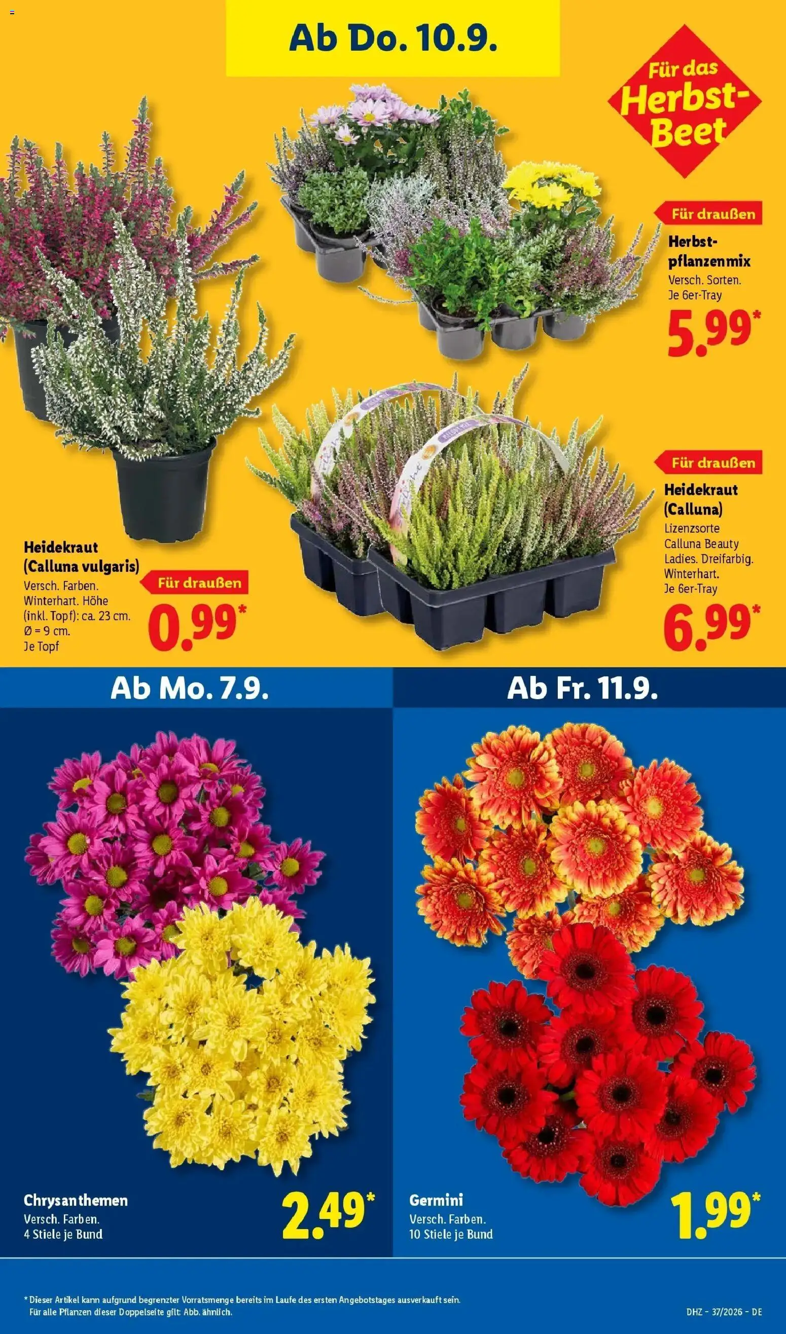 Vorschau von dem Prospekt des Geschäftes Lidl, gültig ab dem 07.09.2026