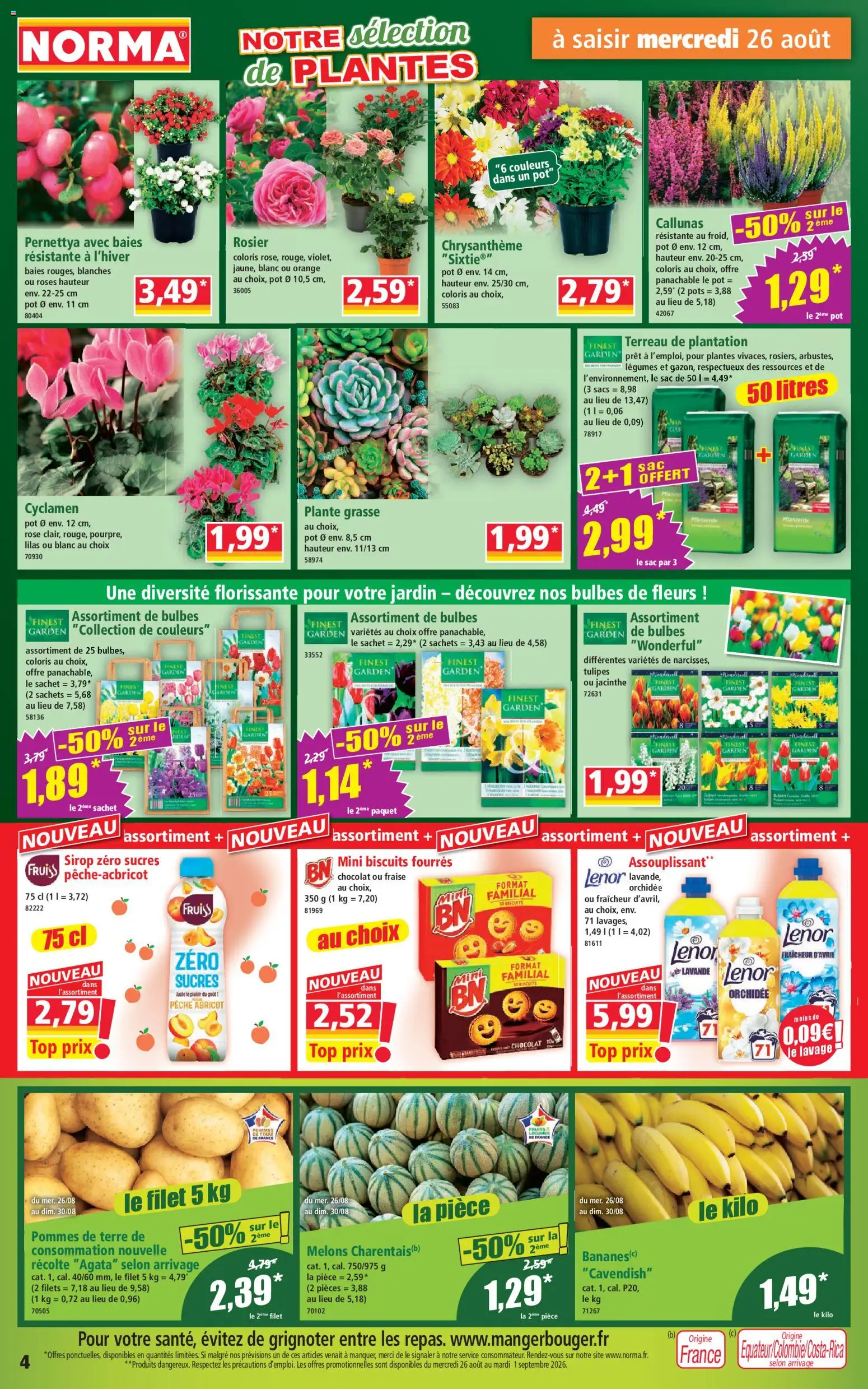 Prévisualisation de Norma catalogue du magasin Norma formulaire valide 26/08/2026 - Chocolat, Sac, Tulipes, Fraise, Cyclamen, Rosier, Sirop, Assouplissant