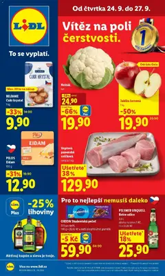 Náhled nabídky: Lidl Lidl aktuální leták platný od 24.09.2026