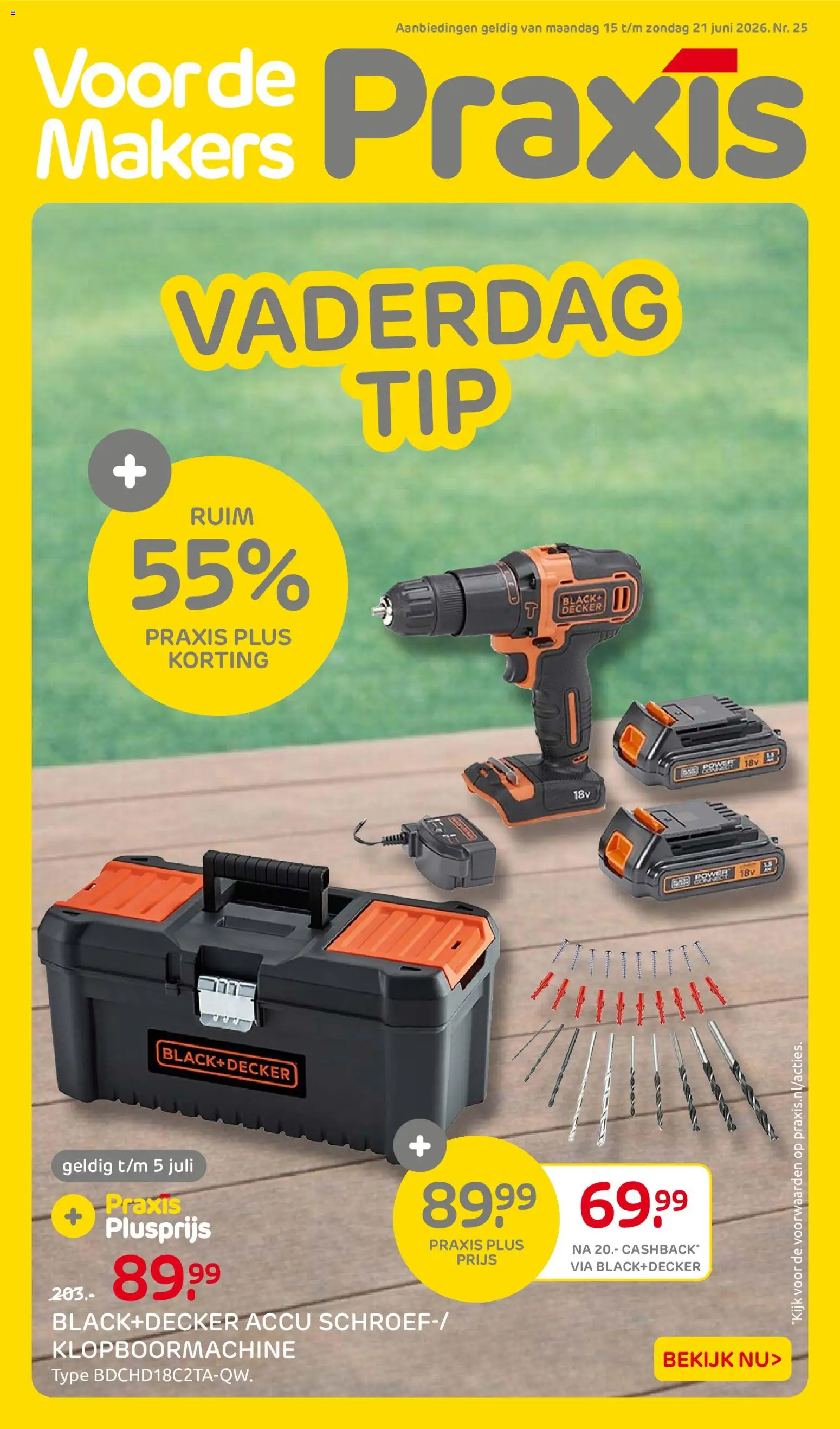 Voorbeeld van Praxis folder van winkel Praxis geldig vanaf 15-06-2026