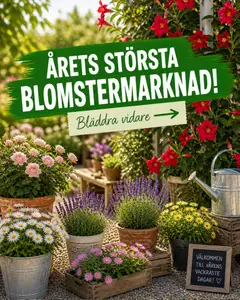 Förhandsgranska reklamblad EKO erbjudanden från butik EKO gäller från 11/05/2026