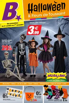 Prévisualisation de BazarLand - Halloween & Fleurs de Toussaint 4p du magasin Bazarland formulaire valide 21/10/2026