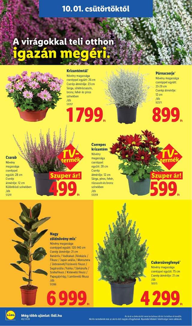Új Lidl akciós újság 10.01.