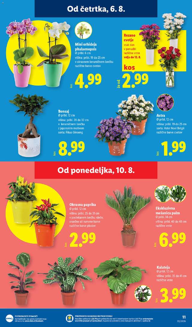 Novi Lidl katalog od 06.08.