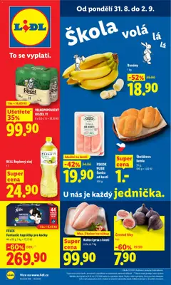 Náhled nabídky: Lidl Lidl leták platný od 31.08.2026