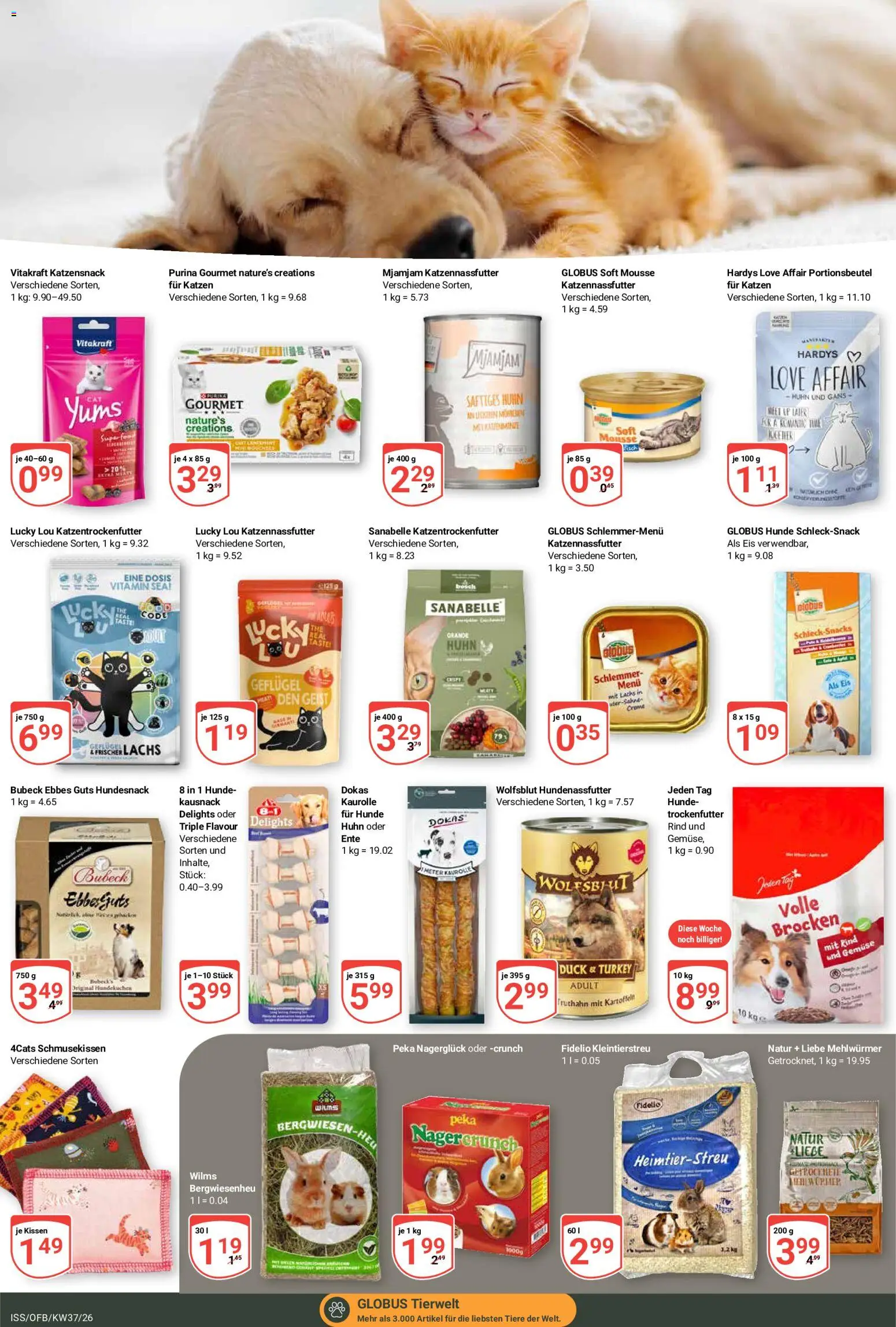 Vorschau von dem Prospekt des Geschäftes Globus, gültig ab dem 07.09.2026 - Eis, Bosch, Gemüse, Lachs, Ente, Kissen, Tisch, Kartoffeln