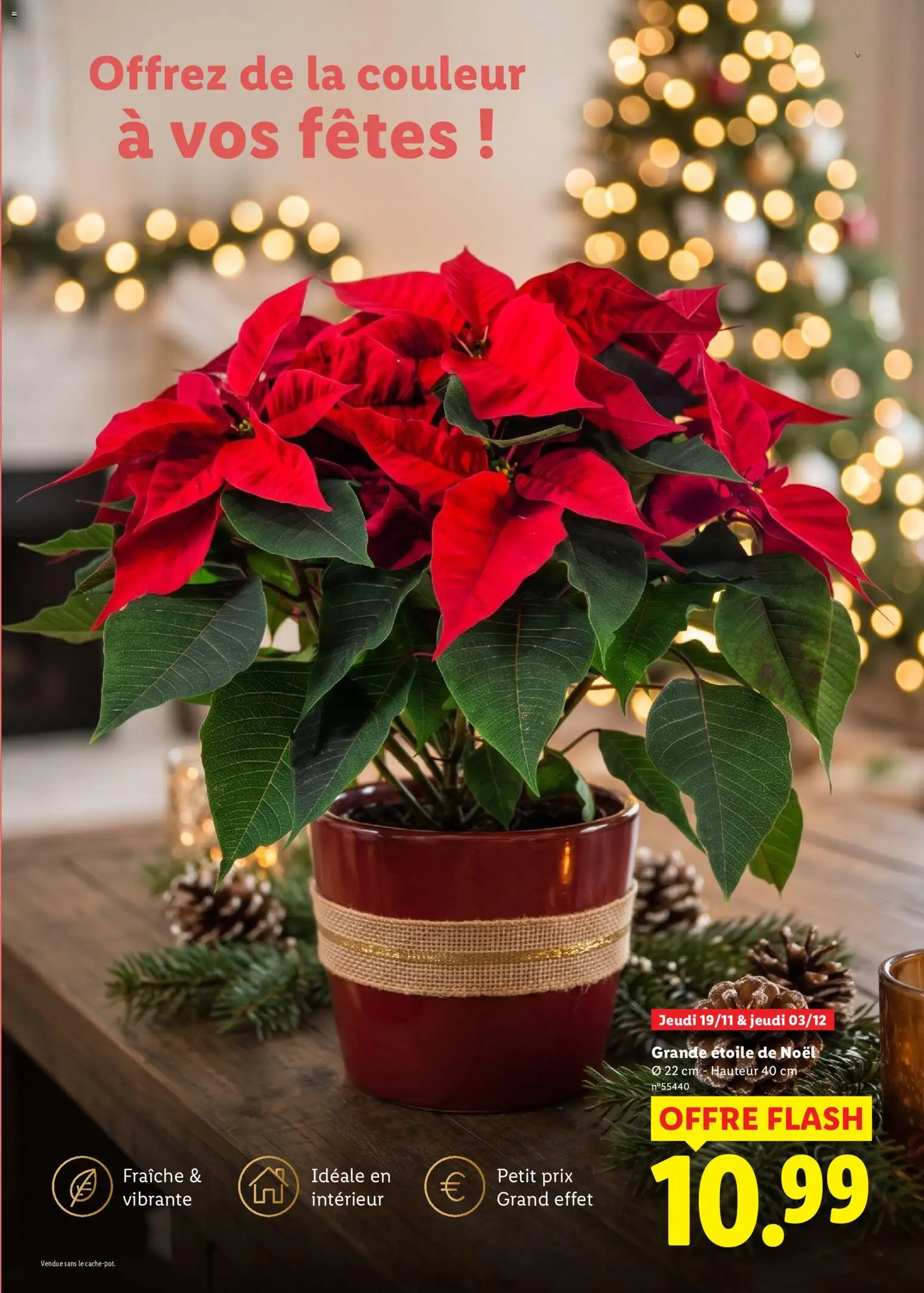 Prévisualisation de LIDL Catalogue de Noël du magasin LIDL formulaire valide 29/10/2026