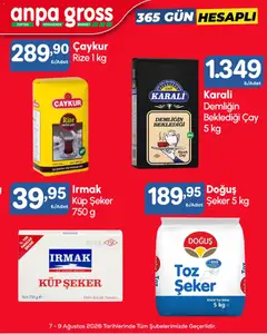 Anpa Gross Anpa Gross Katalog 07.08.2026 - Broşürünün önizlemesi