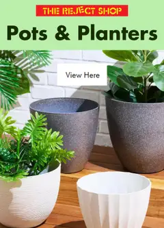 Preview of The Reject Shop Catalogue - Pots & Planters - valid from 12/08/2026