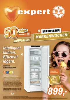 Vorschau der Angebote: Expert Expert Prospekt aktuell gültig ab 22.06.2026