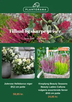 Eksempel på tilbudsavis Plantorama - Tilbudsavis fra butik Plantorama gyldig fra 19/10/2026