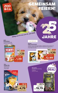 Vorschau von dem Prospekt des Geschäftes Zoo & co, gültig ab dem 01.06.2026
