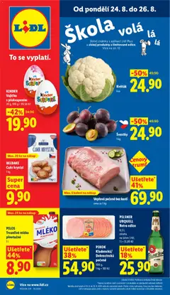 Náhled nabídky: Lidl Lidl leták platný od 24.08.2026