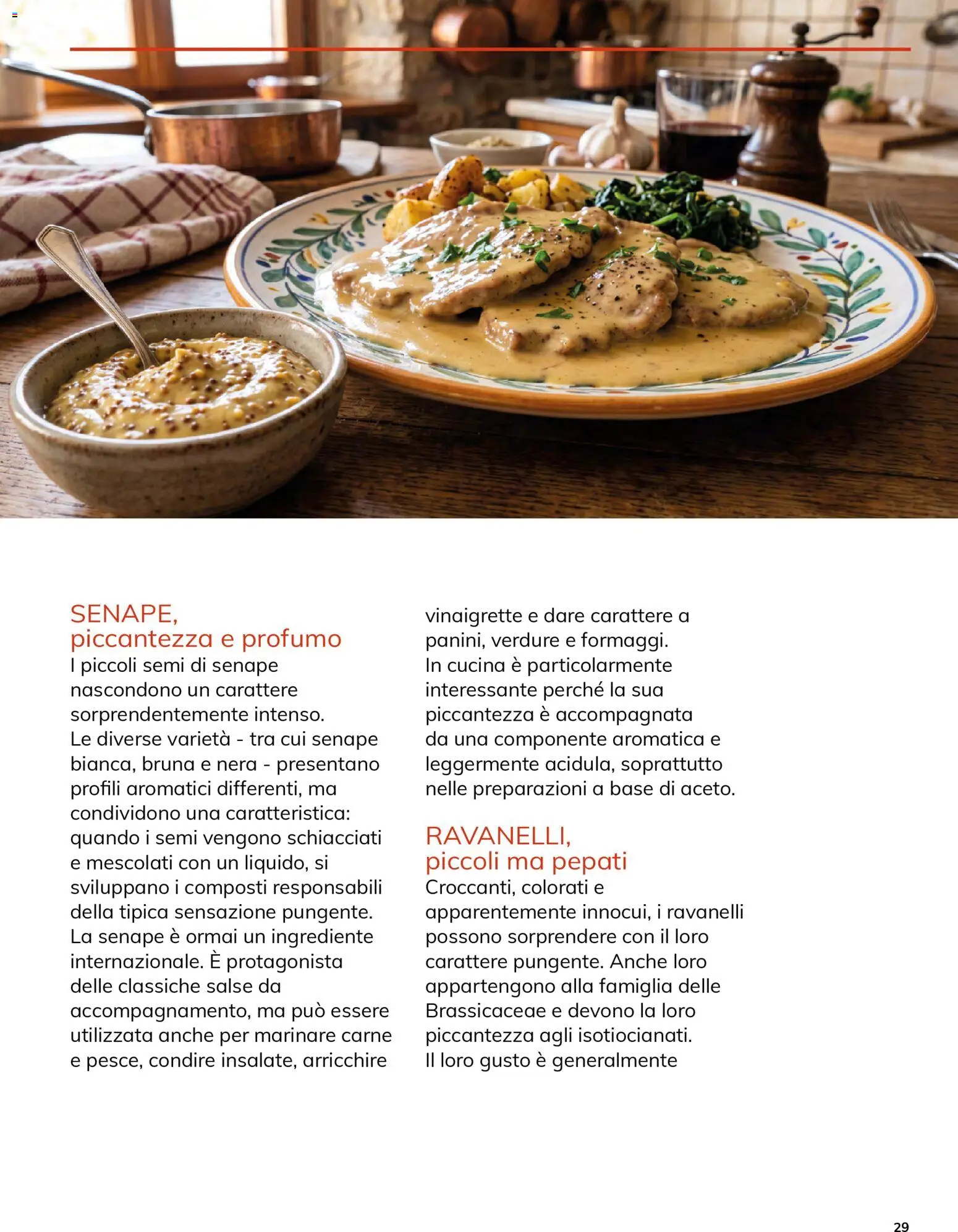 Anteprima dell'opuscolo Basko volantino Magazine ottobre dal negozio Basko valido da 12/10/2026 - Carne, Profumo, Verdure, Ravanelli, Senape, Salse