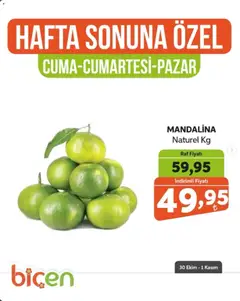 Biçen Market Biçen Market - Hafta Sonuna Özel - Meyve İndirimi 30.10.2026 - Broşürünün önizlemesi