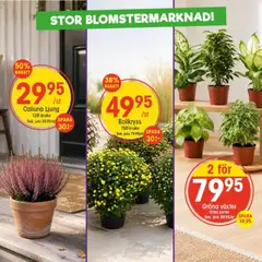 Förhandsgranska reklamblad EKO erbjudanden från butik EKO gäller från 31/08/2026
