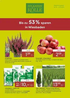 Vorschau von dem Prospekt des Geschäftes Pflanzen-Kölle, gültig ab dem 05.10.2026