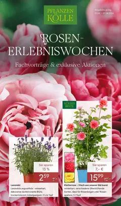 Vorschau von dem Prospekt des Geschäftes Pflanzen-Kölle, gültig ab dem 31.05.2026