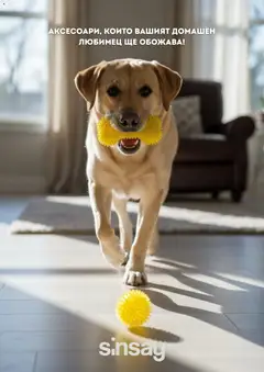 Преглед на Sinsay брошура от магазин Sinsay - Офертата е валидна от 17.04.2026