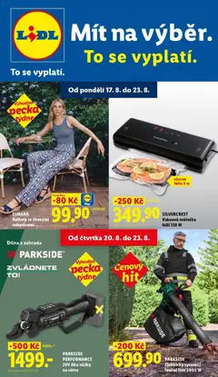 Náhled nabídky: Lidl Lidl aktuální leták platný od 17.08.2026