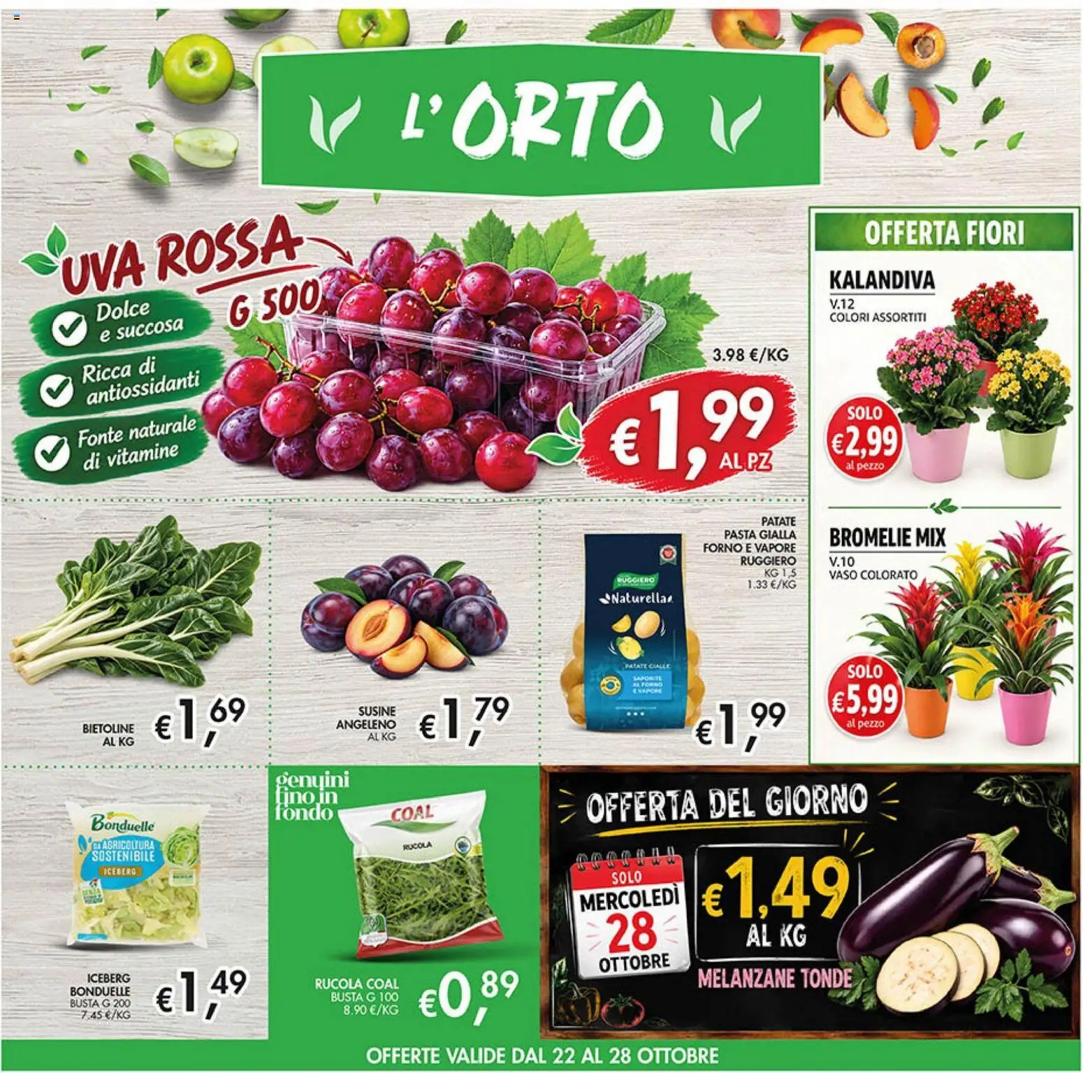 Anteprima dell'opuscolo Coal volantino dal negozio Coal valido da 22/10/2026 - Pasta, Fiori, Melanzane, Rucola, Patate, Uva, Susine, Vaso