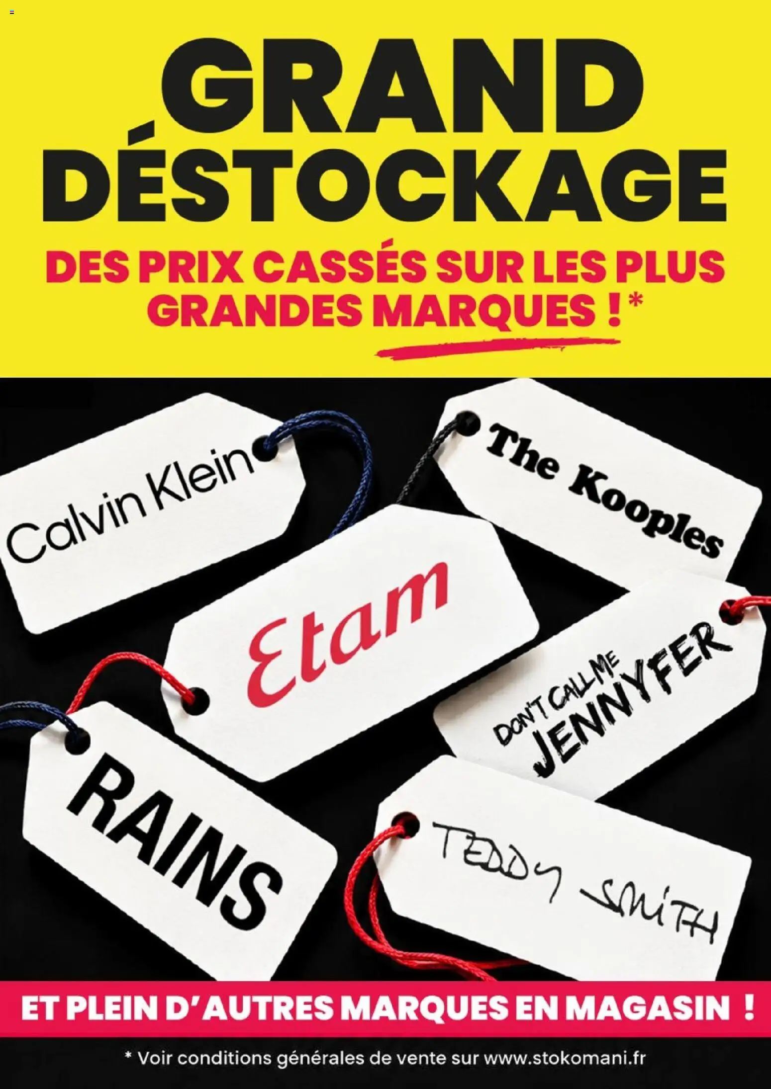 Prévisualisation de Stokomani catalogue Grand déstockage du magasin Stokomani formulaire valide 05/10/2026 - Thé