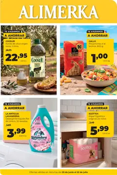 Vista previa del folleto de la tienda Alimerka válido desde el 25/06/2026 