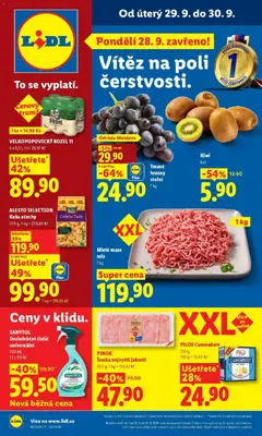Náhled nabídky: Lidl Lidl aktuální leták platný od 28.09.2026