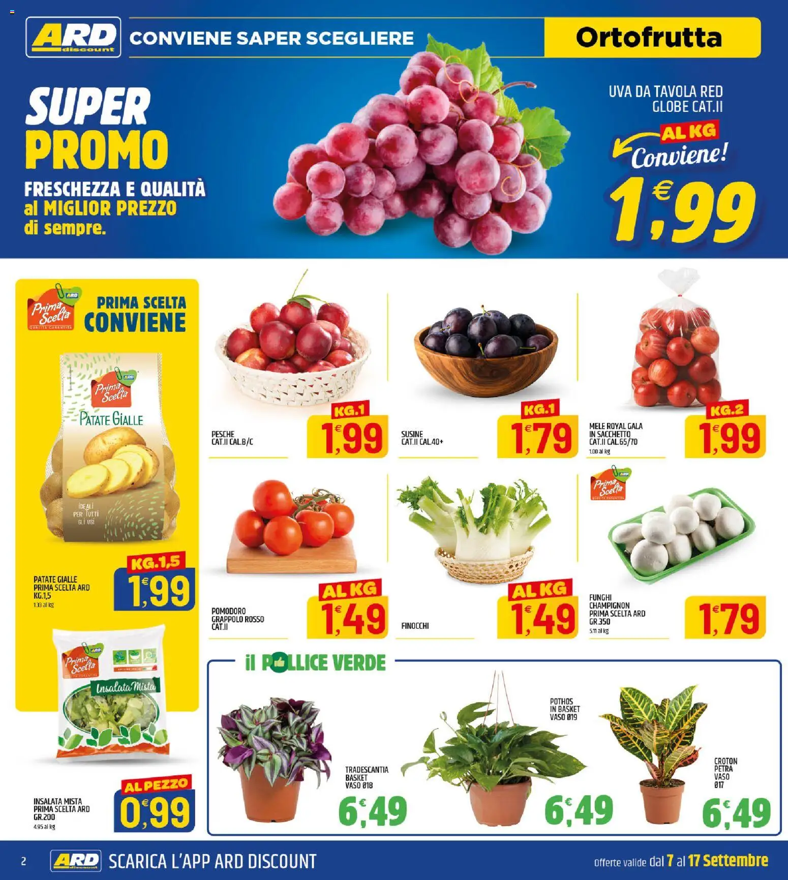 Anteprima dell'opuscolo ARD Discount volantino dal negozio ARD Discount valido da 07/09/2026 - Funghi, Insalata, Pomodoro, Susine, Mele, Finocchi, Vaso, Pesche
