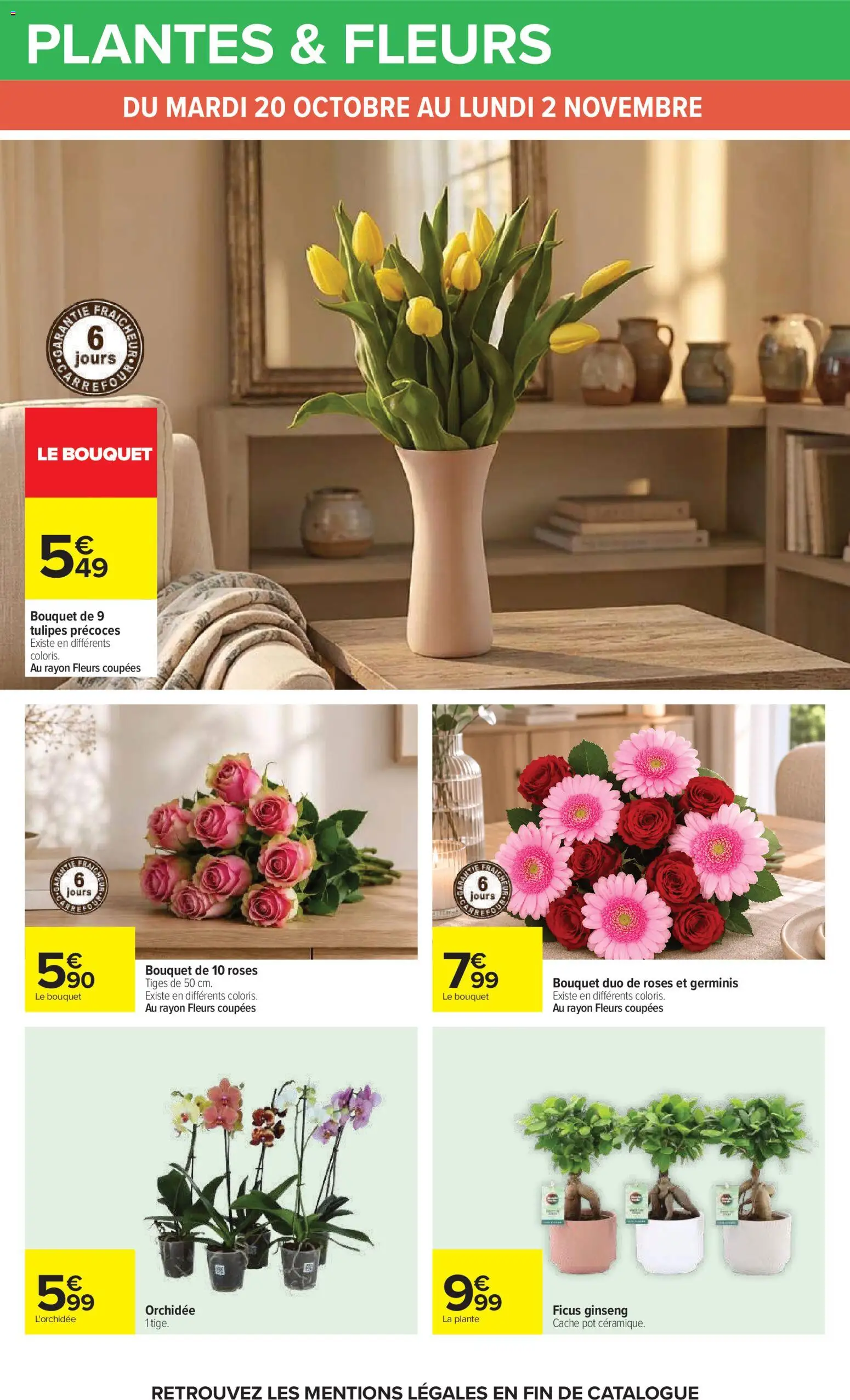 Prévisualisation de Carrefour catalogue du magasin Carrefour formulaire valide 20/10/2026 - Fleurs, Plantes, Orchidée, Tulipes, Ficus, Bonsai, L'orchidée