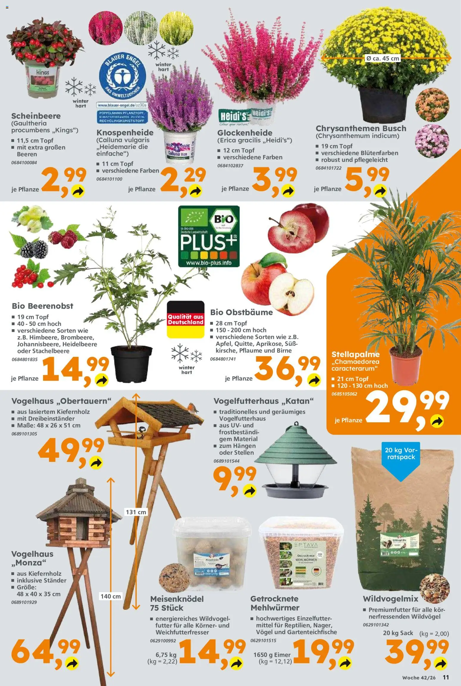 Vorschau von dem Prospekt des Geschäftes Globus Baumarkt, gültig ab dem 12.10.2026 - Birne